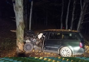 rozbity pojazd marki VW Passat, który uderzył w drzewo,  stojący na drodze leśnej przed drzewem (na drzewie)