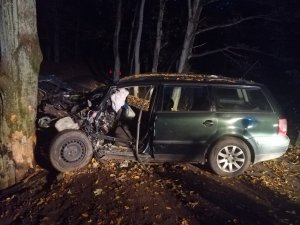 VW Passat, który uderzył w drzewo, z uszkodzonym przodem przejazdu; stojący przed drzewem na drodze leśnej