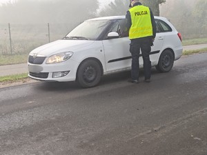 działania trzeźwość