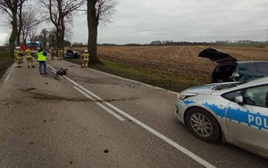 zdarzenie drogowe w Filicach