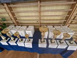 Turniej BRD - eliminacje miejskie w Działdowie